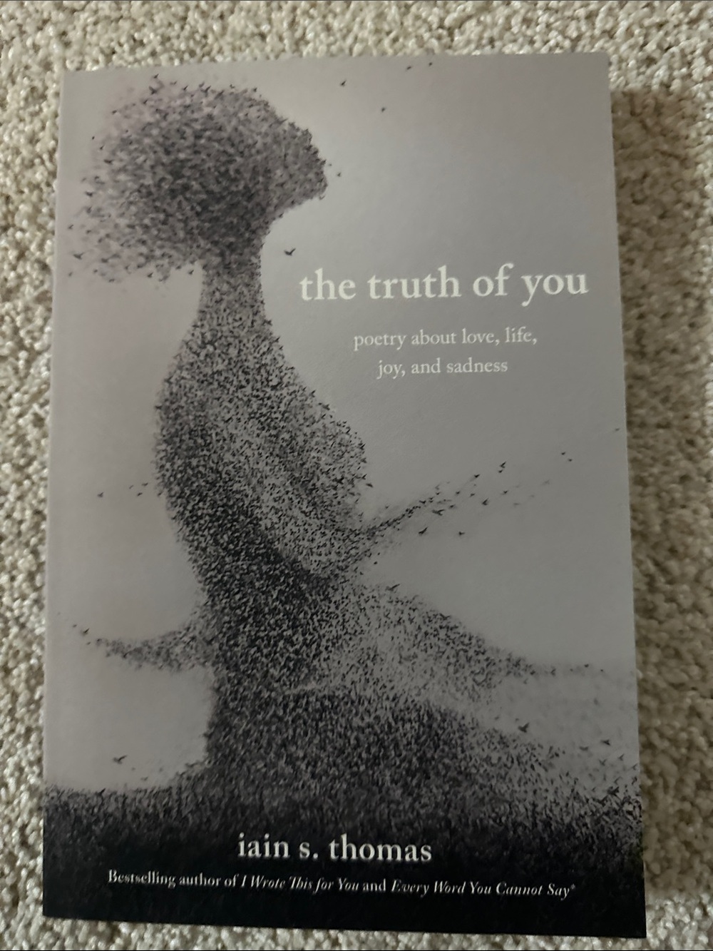 The Truth of You — Poetry Book